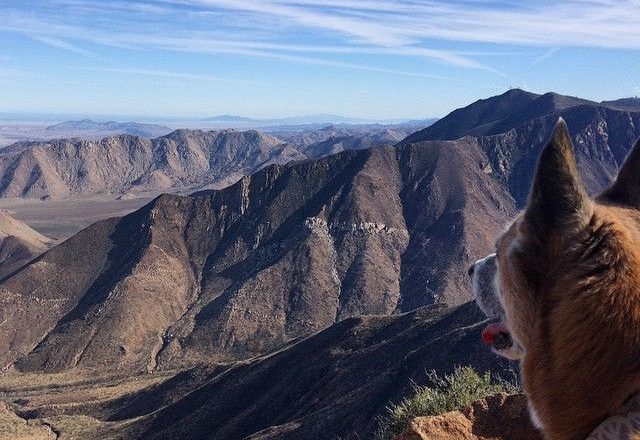 Garnet Peak Trail with Dog